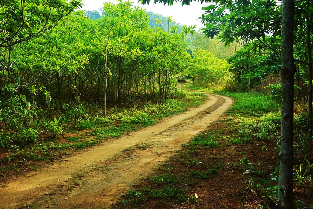 Paradise Lost Resort Koh Kradan Bagian luar foto